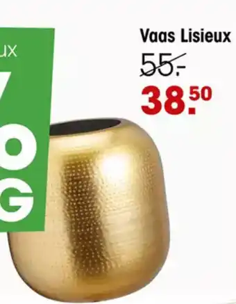 Kwantum Vaas lisieux aanbieding