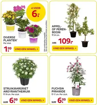 Praxis Diverse planten en bloemen aanbieding