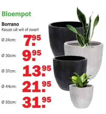 Van Cranenbroek Bloempot borrano 24CM aanbieding