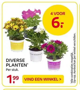 Praxis Diverse planten aanbieding