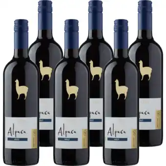 Jumbo Alpaca - merlot - 6 x 750ml aanbieding