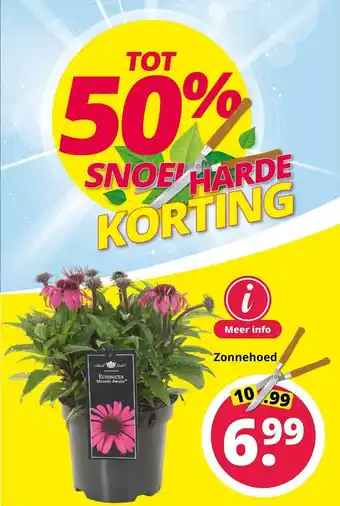 GroenRijk Zonnehoed aanbieding