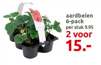 Deka Tuin Aardbeien 6-pack aanbieding