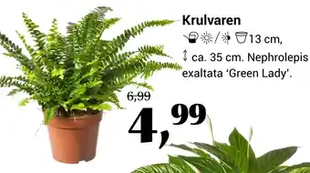 Life & Garden Krulvaren aanbieding