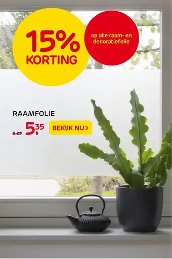 Praxis Raamfolie aanbieding