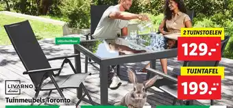 Lidl Livarno home Tuinmeubels Toronto 2 tuinstoelen aanbieding