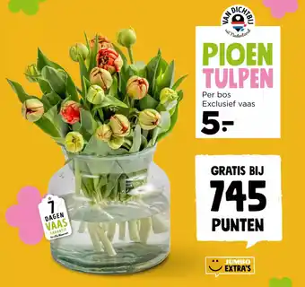 Jumbo Pioen Tulpen aanbieding