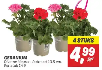 Dekamarkt Geranium aanbieding