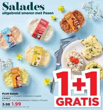 PLUS PLUS Salade 2*175g aanbieding