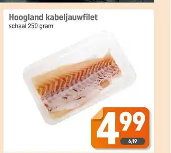 Dagwinkel Hoogland Kabeljauwfilet 250 gram aanbieding