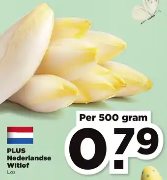 PLUS PLUS Nederlandse Witlof 500g aanbieding