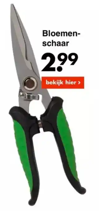 Wibra Bloemenschaar aanbieding