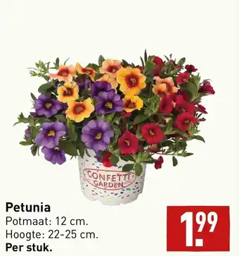 ALDI Petunia aanbieding