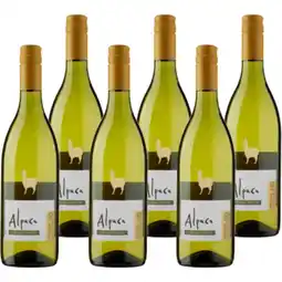 Jumbo Alpaca - chardonnay - semillón - 6 x 750ml aanbieding