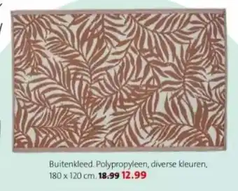 Intratuin Buitenkleed 180x120CM aanbieding