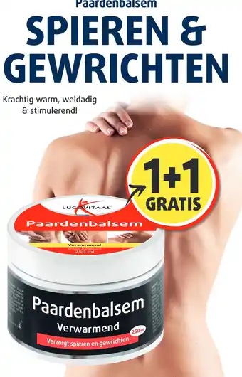 Lucovitaal Paardenbalsem spieren & gewrichten aanbieding