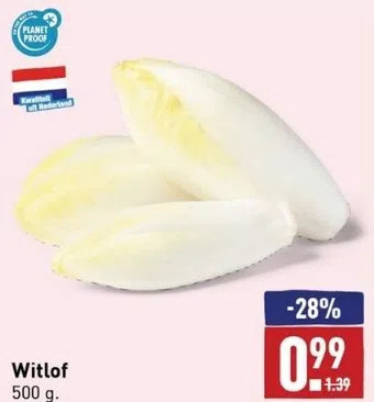 ALDI Witlof aanbieding