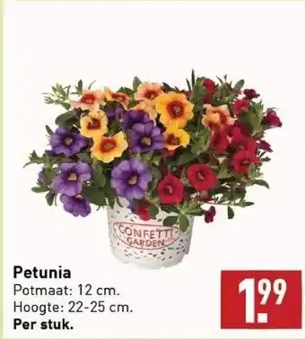 ALDI Petunia potmaat: 12 cm. hoogte: 22-25 cm. per stuk. aanbieding