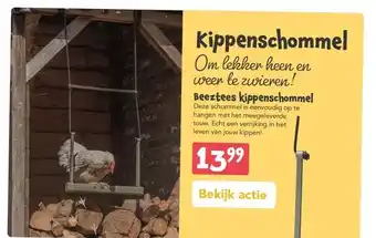 Discus Beeztees kippenschommel aanbieding