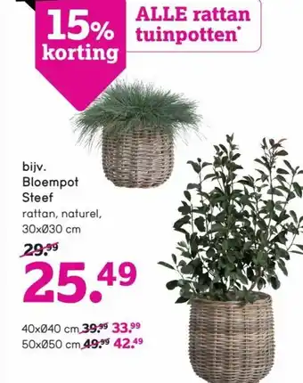 Leen Bakker Bloempot steef aanbieding