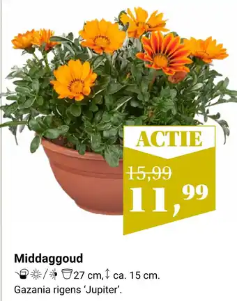 TuinWereld Middaggoud aanbieding