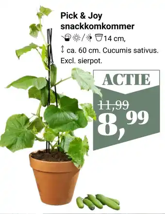 Tuincentrum Osdorp Pick & joy snackkomkommer aanbieding