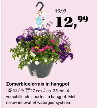 Tuincentrum Osdorp Zomerbloeiermix in hangpot aanbieding