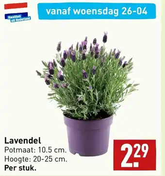 ALDI Lavendel aanbieding