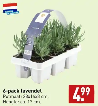 ALDI 6-pack lavendel aanbieding