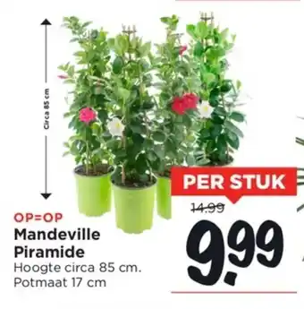 Vomar Voordeelmarkt Mandeville piramide aanbieding