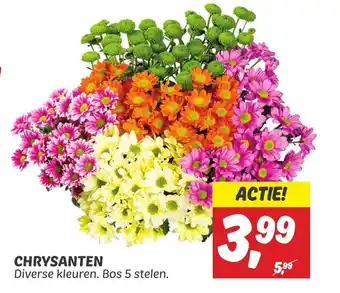 Dekamarkt Chrysanten aanbieding