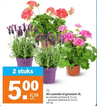 Albert Heijn Lavendel of geranium XL 2 stuks aanbieding