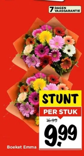 Vomar Voordeelmarkt Boeket emma aanbieding