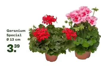 Welkoop Geranium special ø 13 cm aanbieding