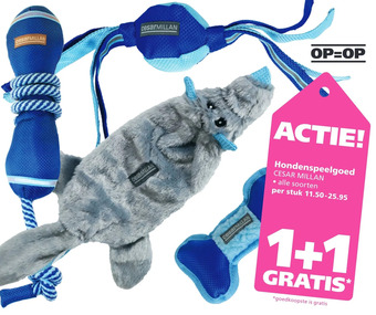 Ranzijn Hondenspeelgoed aanbieding