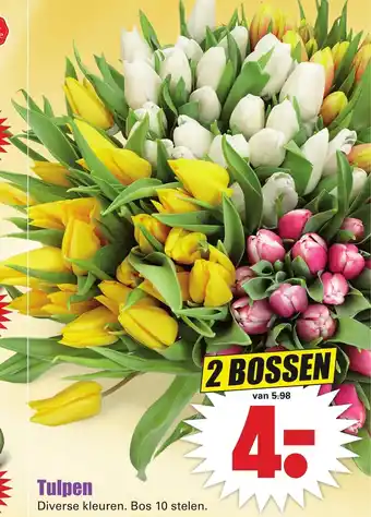Dirk Tulpen aanbieding