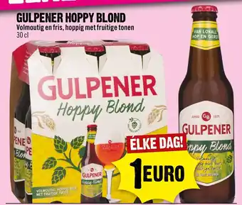 Dirck 3 GULPENER Hoppy Blond 30CL aanbieding