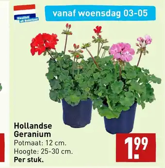 ALDI Hollandse Geranium aanbieding