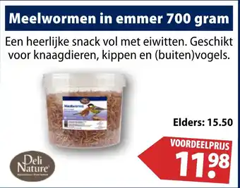 Huisdier Voordeelshop Meelwormen in emmer 700 gram aanbieding