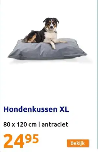 Action Hondenkussen XL 80 x 120 cm aanbieding