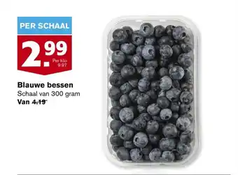 Hoogvliet Blauwe bessen 300g aanbieding