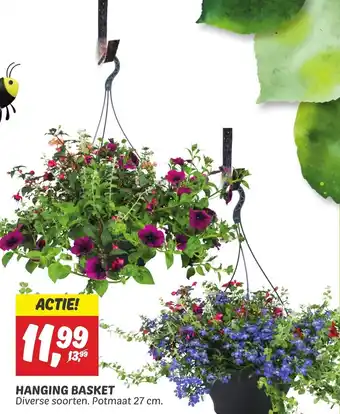 Dekamarkt HANGING BASKET aanbieding