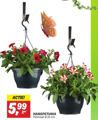 Dekamarkt HANGPETUNIA aanbieding