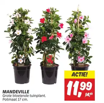 Dekamarkt MANDEVILLE aanbieding