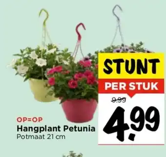 Vomar Voordeelmarkt Hangplant Petunia Potmaat 21 cm aanbieding