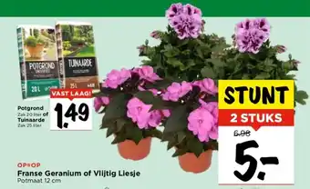 Vomar Voordeelmarkt Franse Geranium of Vlijtig Liesje Potmaat 12 cm aanbieding