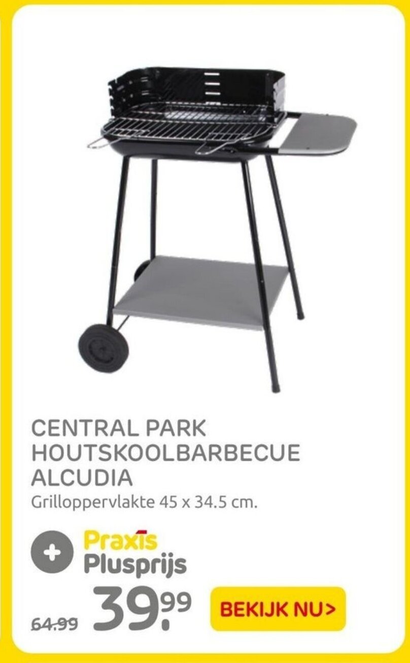 CENTRAL PARK HOUTSKOOLBARBECUE ALCUDIA Grilloppervlakte 45 x 34.5 cm. aanbieding bij Praxis