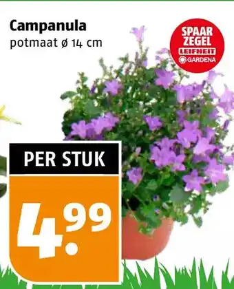 Poiesz Campanula aanbieding