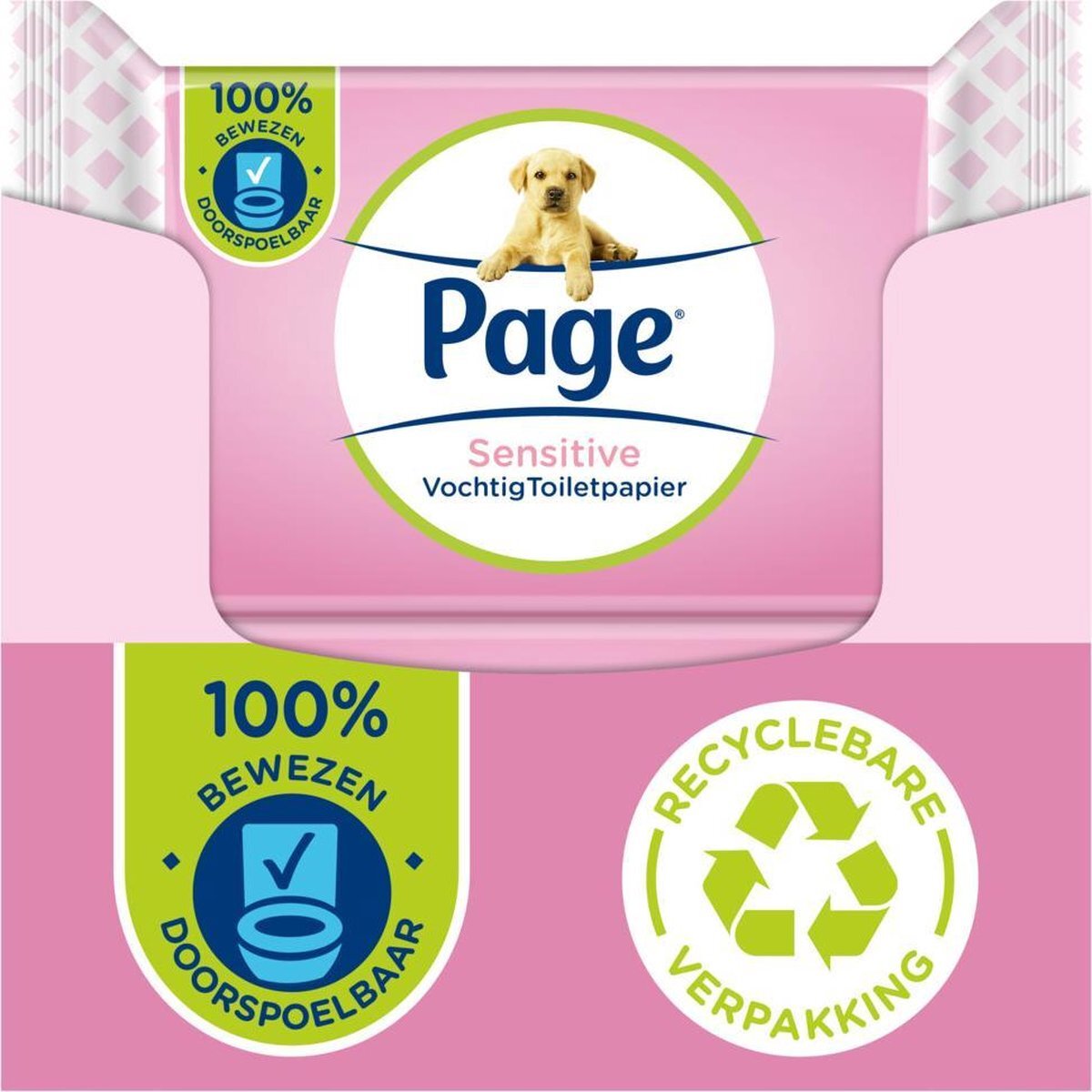 Bol.com Page vochtig toiletpapier - 12 x 38 stuks - sensitive vochtig wc papier - voordeelverpakking aanbieding