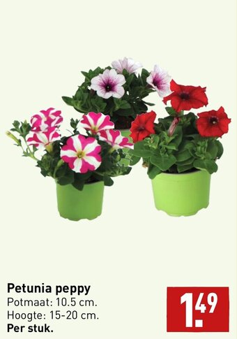ALDI Petunia peppy aanbieding